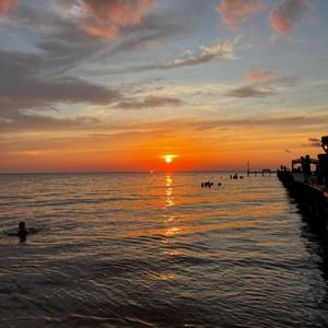 Meet your Posher, Lilly